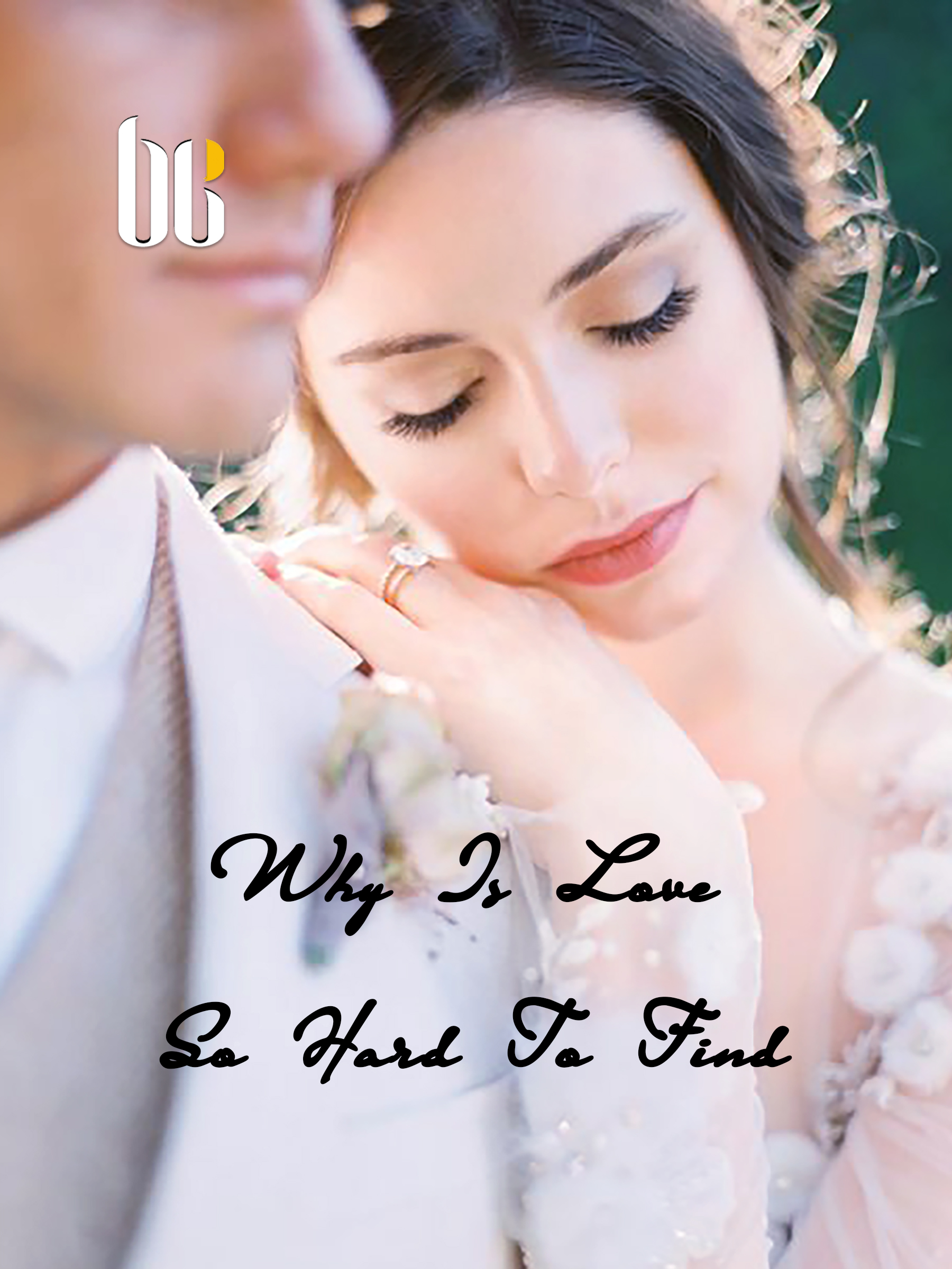 Why Is Love So Hard To Find Novel Full Story Book BabelNovel